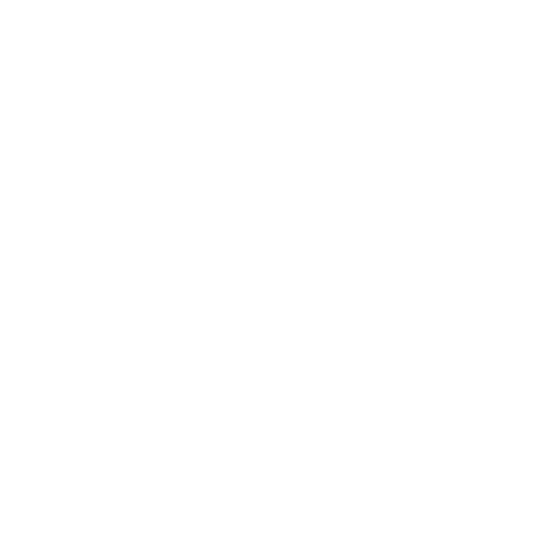 <h3><strong>Vielseitig</strong></h3>